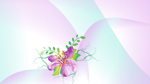 1375981 (a): :1920x1080